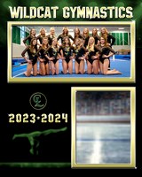 23-24 CLHS Gymnastics Memory Mate