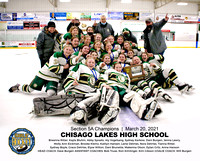Chisago Lakes Girls Hockey Section Champs_.JPGChisago Lakes Girls Hockey Section Champs team_Commorative Print