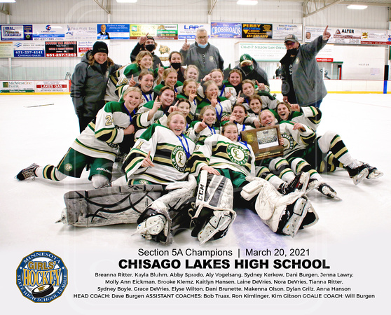 Chisago Lakes Girls Hockey Section Champs_.JPGChisago Lakes Girls Hockey Section Champs team_Commorative Print