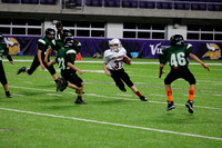 Brock FB US BANK Stadium_015