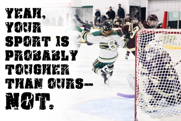 Dani be your sport quote hockey